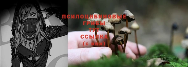 ешки Нефтекумск