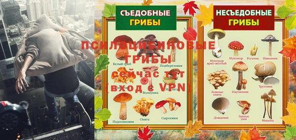 стафф Нефтегорск