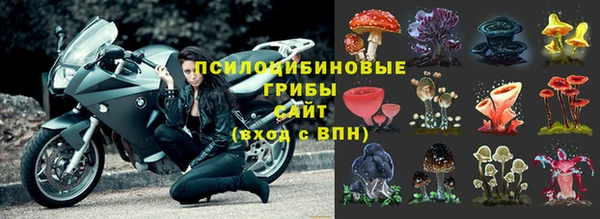 стафф Нефтегорск