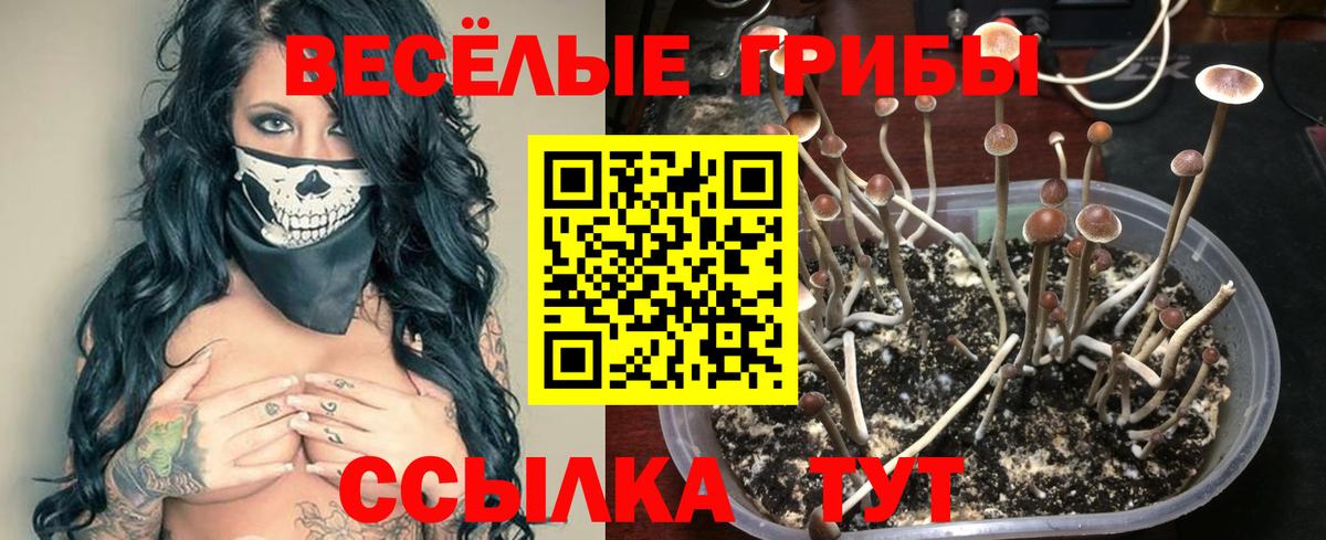 COCAIN  Вход с VPN  Марихуана  Старая Купавна  ГАШ  Мефедрон  